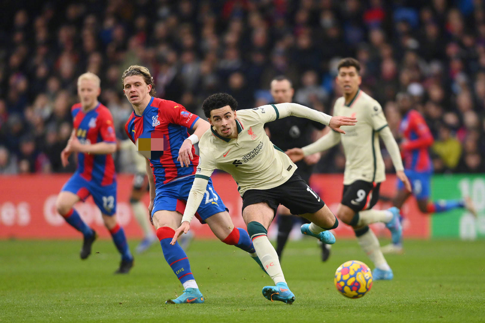 豪门对战自 豪门对战自